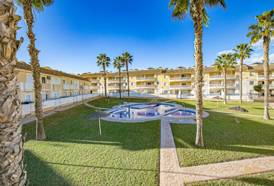 Sprzedaż - Apartament / Mieszkanie -
Lomas de Cabo Roig