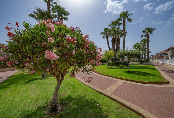 Herverkoop - Appartement / Flat -
Playa Flamenca - Zenia Mar