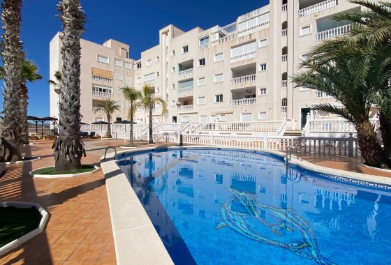 Resale - Wohnung / Appartement -
Guardamar del Segura - El Eden