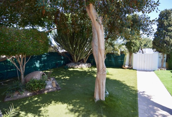 Resale - Freistehende Villa -
Torrevieja - Torreta-Florida