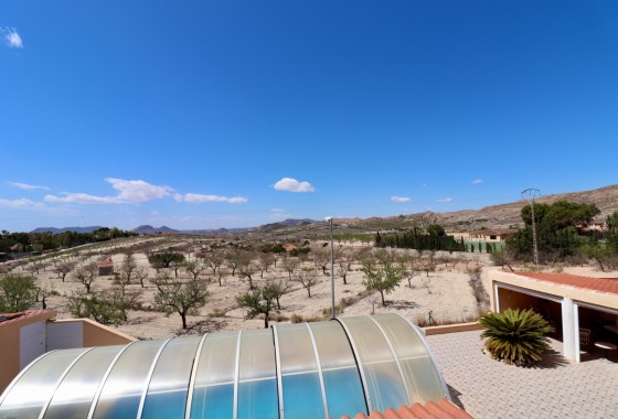 Resale - Finca Landgut -
La Mata
