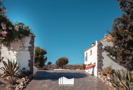 NIEUWBOUW - Appartement / Flat -
Torrevieja - Playa de El Cura