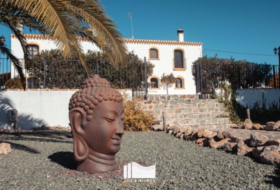 NIEUWBOUW - Appartement / Flat -
Torrevieja - Playa de El Cura