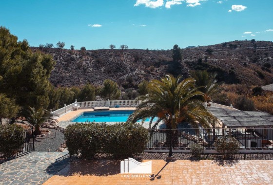 NIEUWBOUW - Appartement / Flat -
Torrevieja - Playa de El Cura