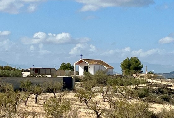 Revente - Parcelle Terrain -
Bullas - Costa Calida