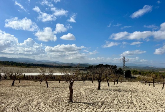 Revente - Parcelle Terrain -
Bullas - Costa Calida