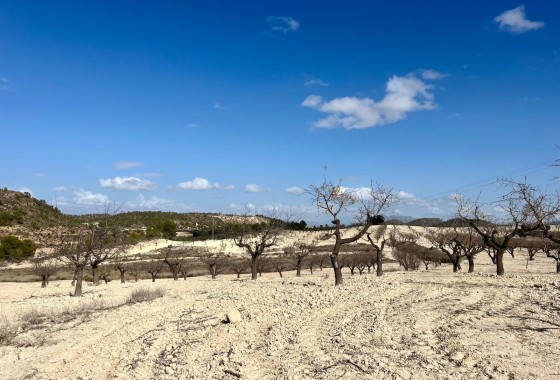 Revente - Parcelle Terrain -
Bullas - Costa Calida