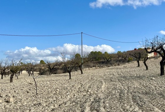 Revente - Parcelle Terrain -
Bullas - Costa Calida