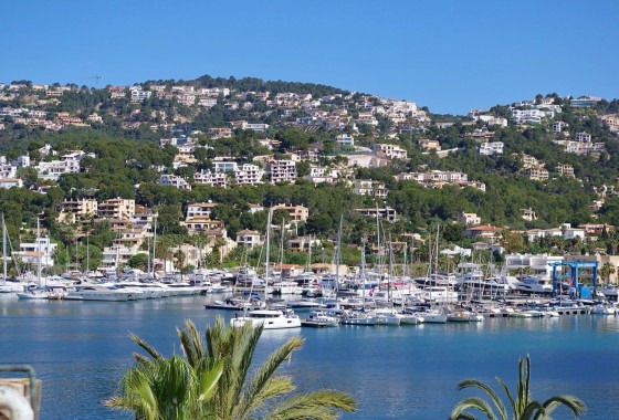 Revente - Appartement -
Port d'Andratx - Andratx