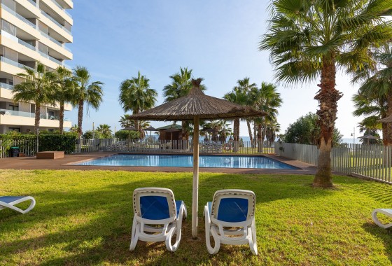 Revente - Appartement -
Torrevieja - Punta Prima