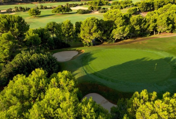 Nouvelle construction - Villa Individuelle -
Pilar de la Horadada - Lo Romero Golf