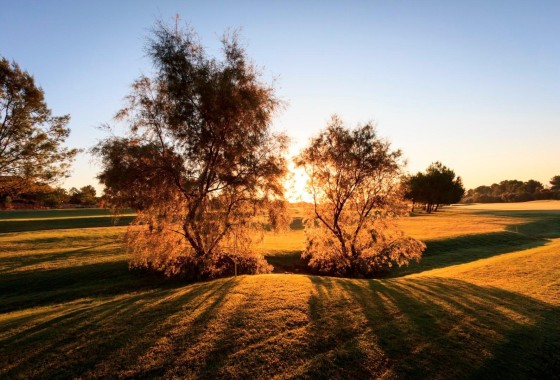 Nouvelle construction - Villa Individuelle -
Pilar de la Horadada - Lo Romero Golf