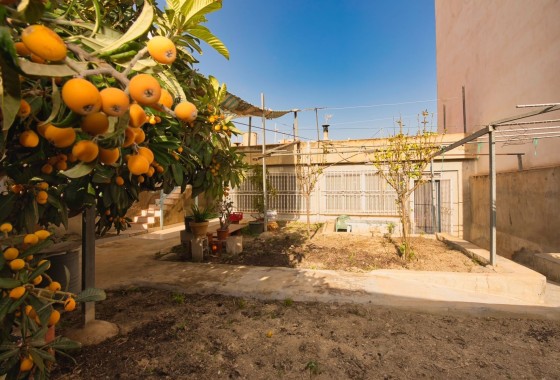 Sprzedaż - Willa wolnostojąca -
Benijofar