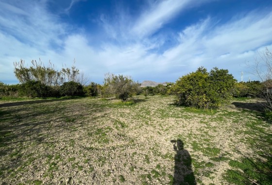 Venta - Chalet Independiente -
Benejúzar - Comunidad Valenciana