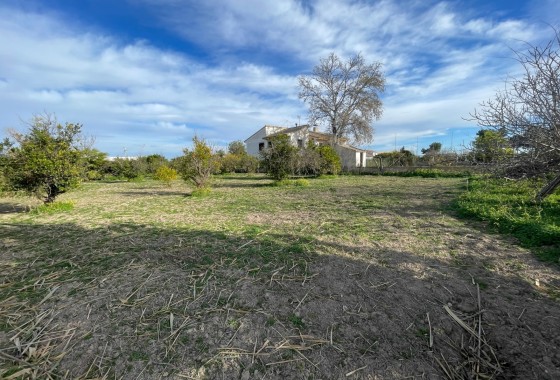 Venta - Chalet Independiente -
Benejúzar - Comunidad Valenciana