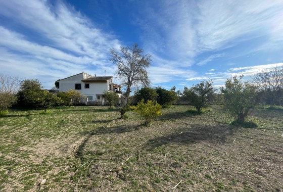 Venta - Chalet Independiente -
Benejúzar - Comunidad Valenciana