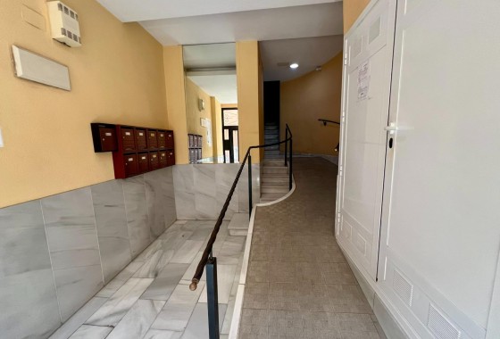 Herverkoop - Commercieel -
Orihuela - Zona Centro