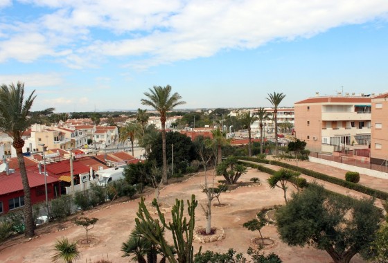 Sprzedaż - Apartament / Mieszkanie -
Mil Palmeras - Costa Blanca