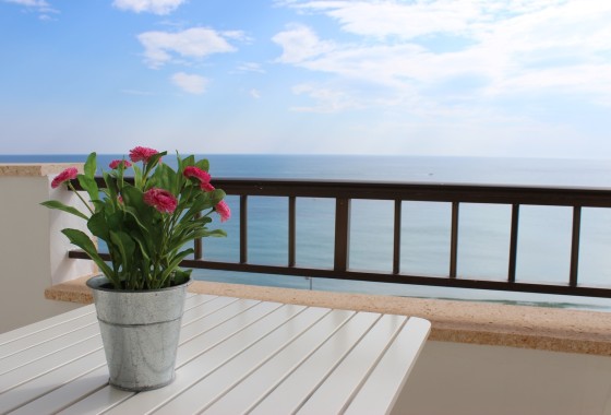 Sprzedaż - Apartament / Mieszkanie -
Mil Palmeras - Costa Blanca