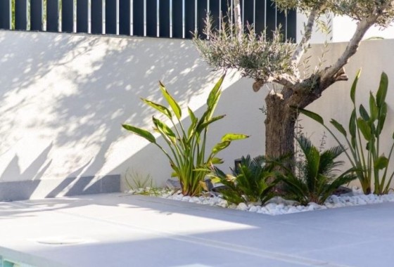 Resale - Freistehende Villa -
Algorfa