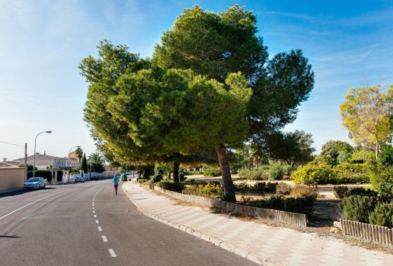 Resale - Wohnung / Appartement -
Torrevieja - La Siesta - El Salado - Torreta
