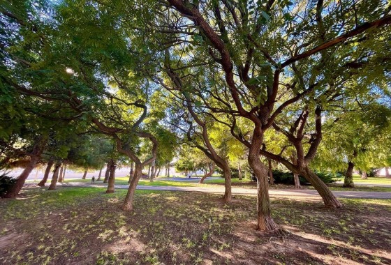 Herverkoop - Stadswoning -
Torrevieja - Calas blanca