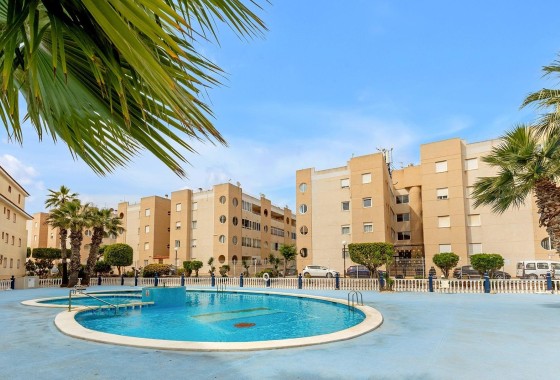 Sprzedaż - Apartament / Mieszkanie -
Torrevieja - San luis