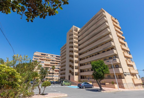 Sprzedaż - Apartament / Mieszkanie -
Torrevieja - Cabo Cervera