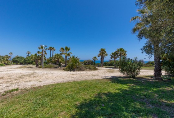 Sprzedaż - Apartament / Mieszkanie -
Torrevieja - Cabo Cervera