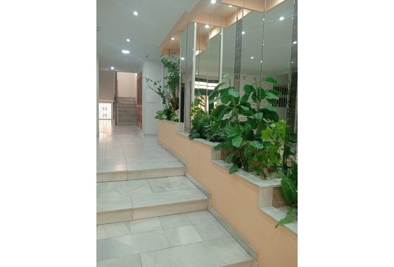 Sale - Apartment Flat -
Torrevieja - Acequion