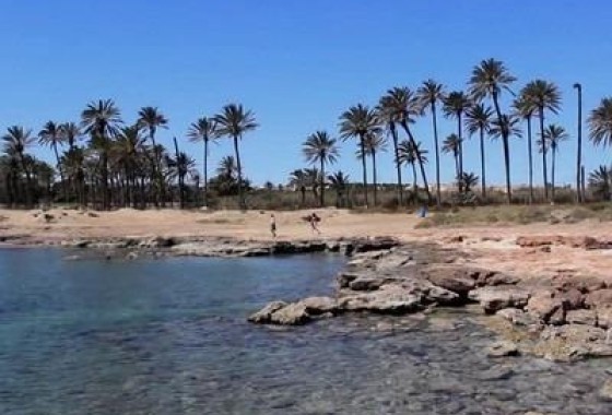 Resale - Wohnung / Appartement -
Torrevieja - La veleta