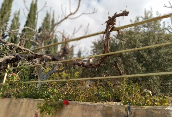 Sale - Semi Detached Villa -
Murcia