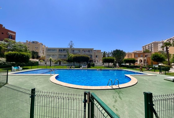 Sprzedaż - Apartament / Mieszkanie -
Torrevieja - Torreblanca