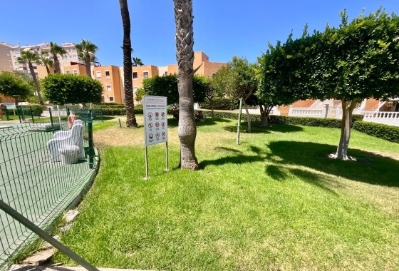 Sprzedaż - Apartament / Mieszkanie -
Torrevieja - Torreblanca