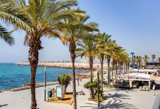Venta - Apartamento / Piso -
Torrevieja - Estacion de autobuses
