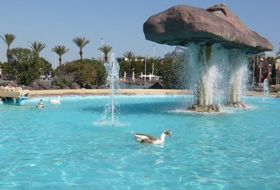 Venta - Apartamento / Piso -
Torrevieja - Parque las naciones