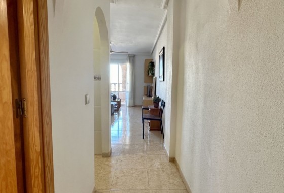 Venta - Apartamento / Piso -
Torrevieja