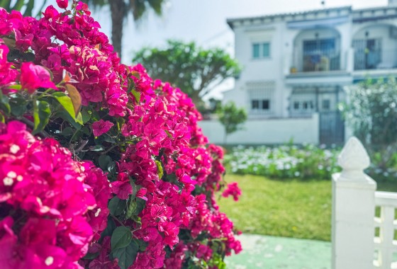Revente - Appartement -
Torrevieja - Costa Blanca