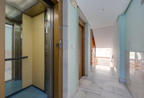 Venta - Apartamento / Piso -
Torrevieja - Estacion de autobuses