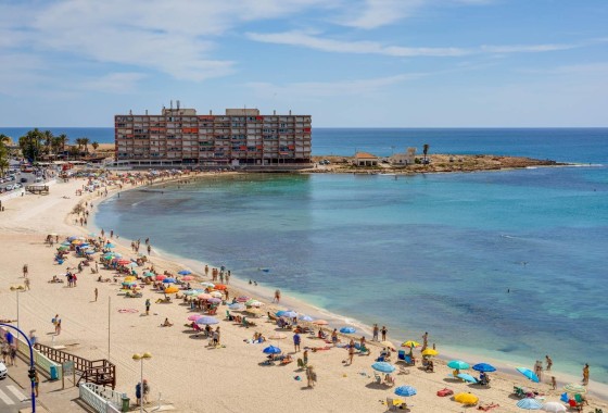 Venta - Apartamento / Piso -
Torrevieja - Estacion de autobuses