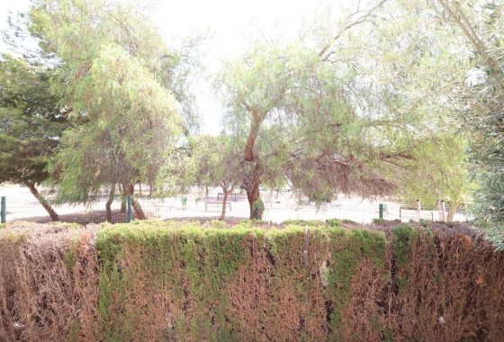 Herverkoop - Appartement / Flat -
Orihuela Costa - Punta Prima