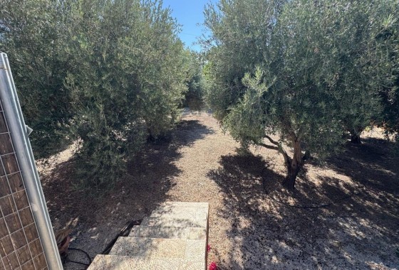 Herverkoop - Finca Landelijk pand -
Albatera - BARRANCO SAN CAYETANO