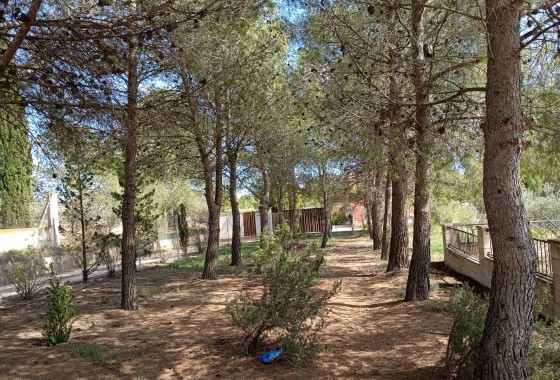 Venta - Chalet Independiente -
Yecla - Inland