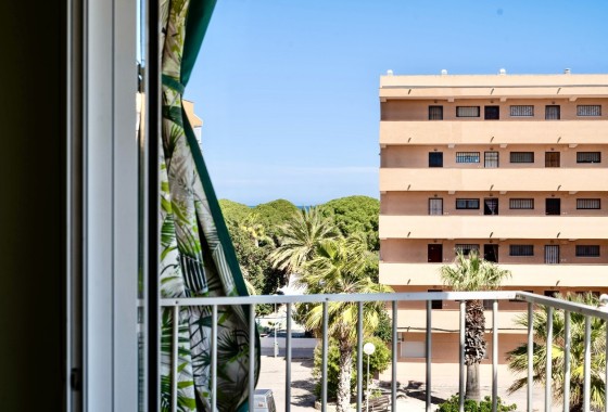 Sale - Apartment Flat -
Guardamar del Segura - Costa Blanca