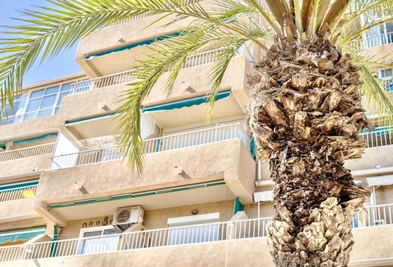 Sale - Apartment Flat -
Guardamar del Segura - Costa Blanca