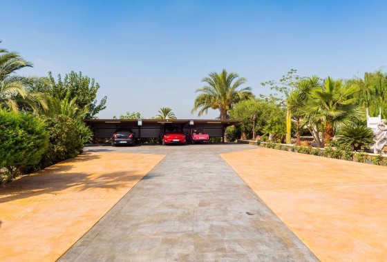 Sale - Finca Country Property -
Almoradí