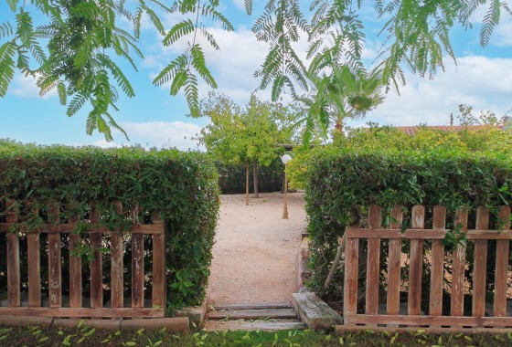 Venta - Chalet Independiente -
San Vicente del Raspeig - Inland