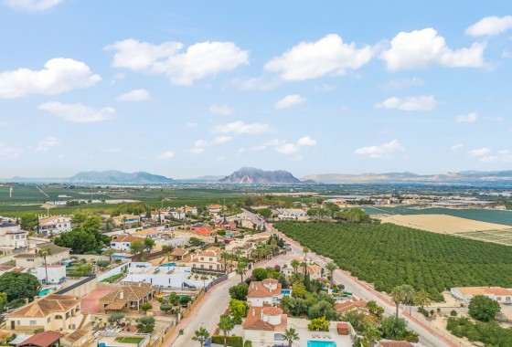 Sprzedaż - Willa wolnostojąca -
Algorfa