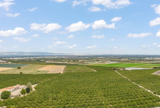 Sprzedaż - Willa wolnostojąca -
Algorfa