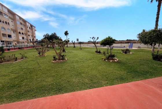 Venta - Apartamento / Piso -
Torrevieja - Costa Blanca